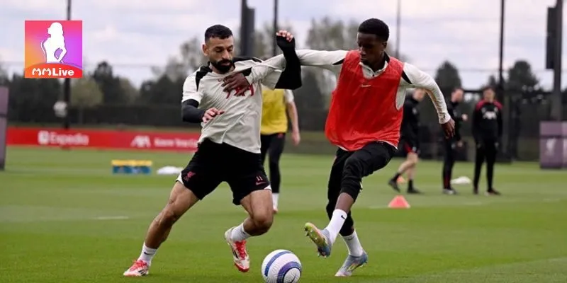 Sảnh thể thao MMLive được nhiều người dùng truy cập